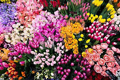 《使命召唤：现代战争3》第五赛季新地图预告片